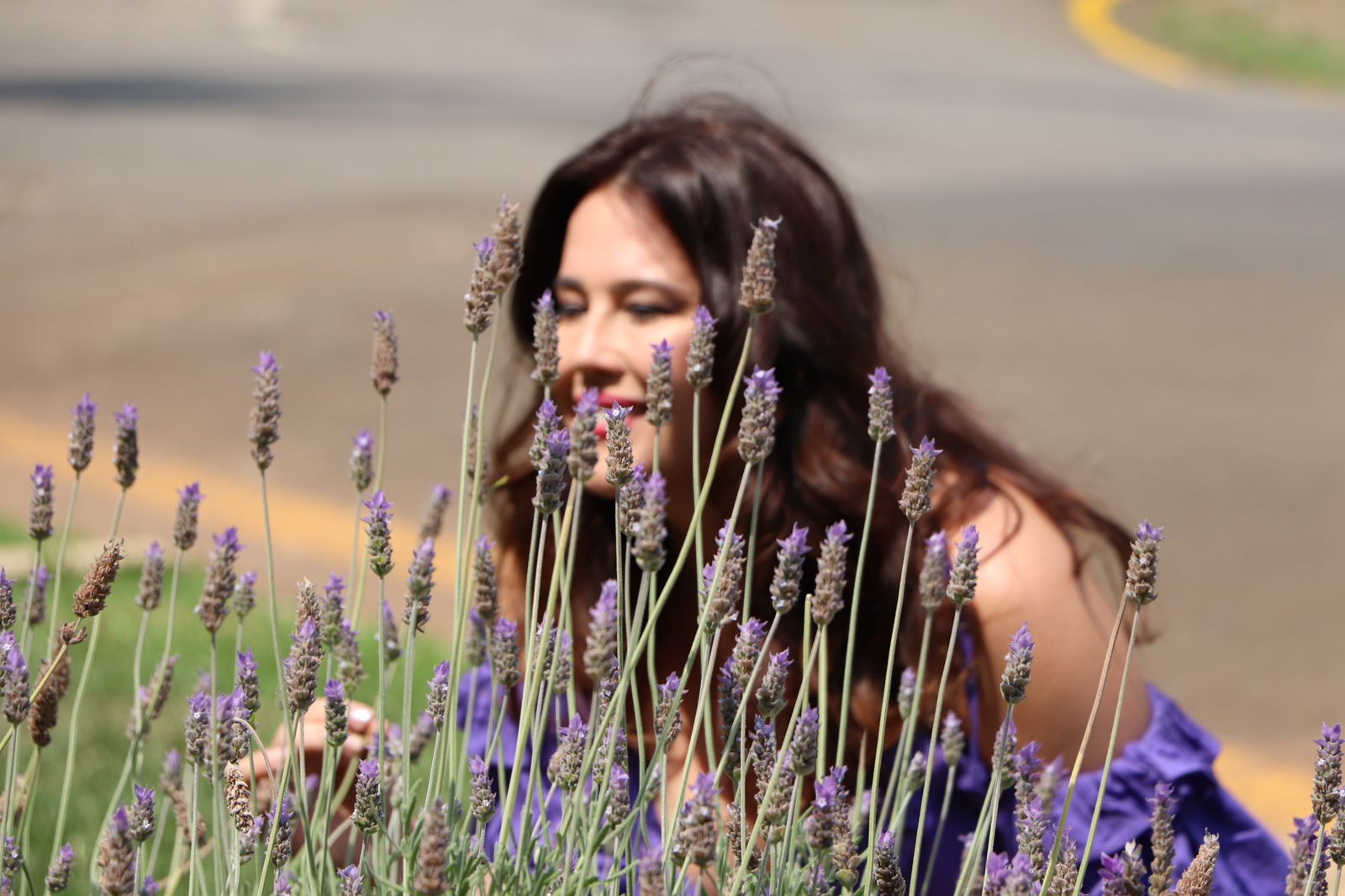 Chama Violeta - Imagem 7