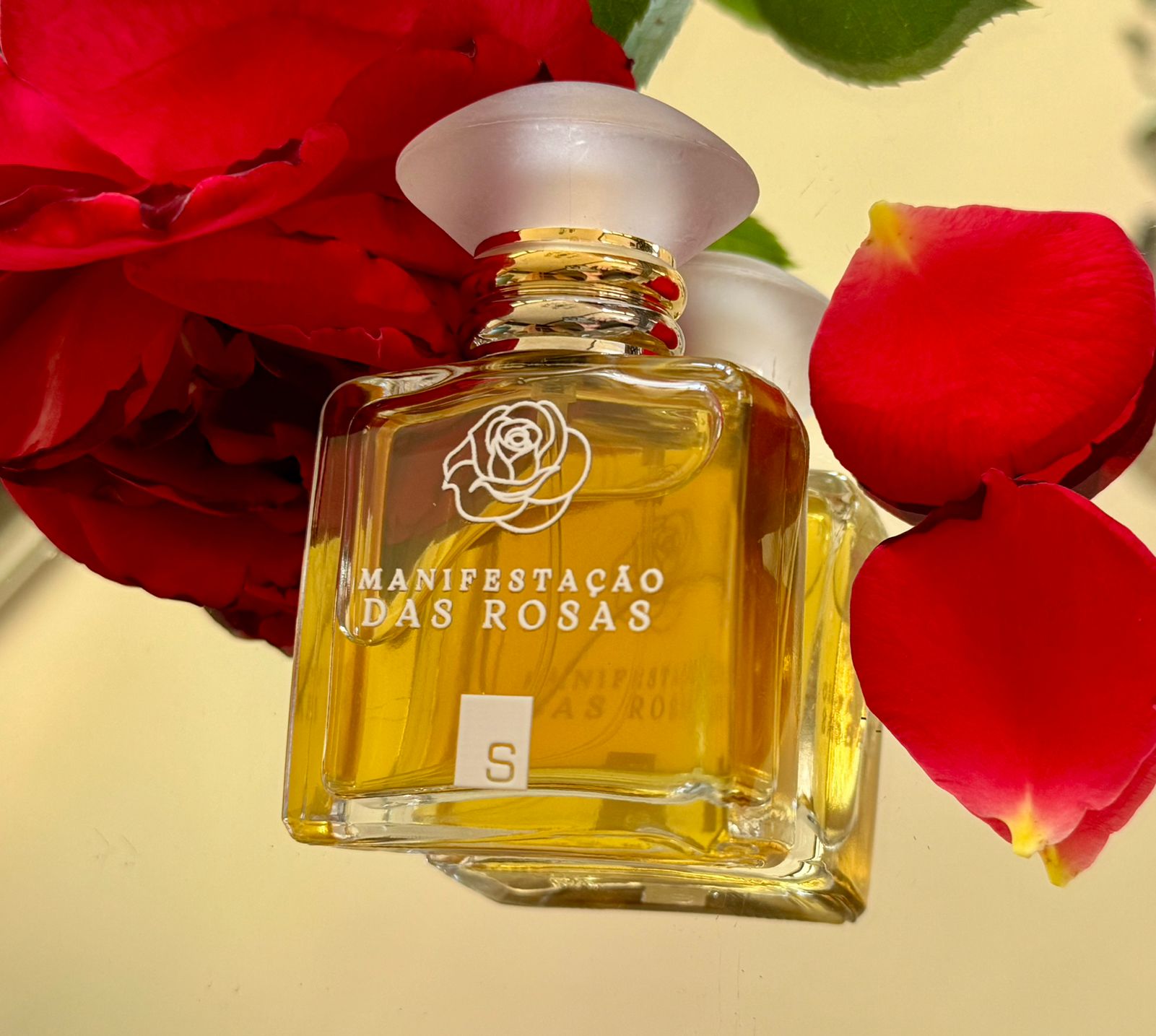 Manifestação das rosas - Imagem 2
